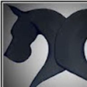 Meet your Posher, Tanna